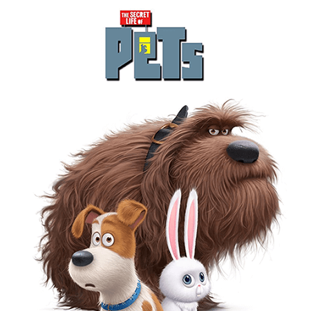 Pets vita da animali