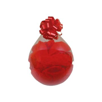 PALLONCINI TRASPARENTI 390 (18") PZ.25