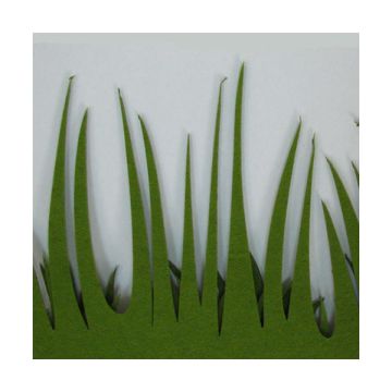 ERBA IN FELTRO VERDE SCURO