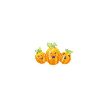PALLONCINO ZUCCA TRIO PZ.1