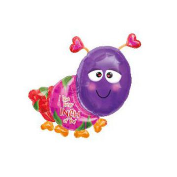 PALLONCINO BRUCO AMOROSO PZ.1
