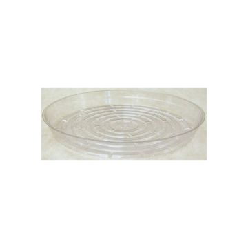 BASI IN PVC REGALO NEL PALLONE PZ.50