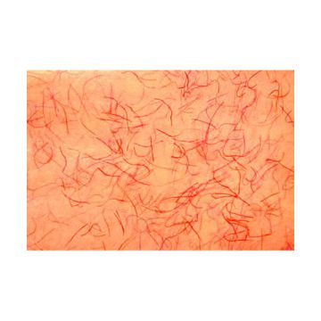 CARTA RISO IMPERMEAB.ARANCIO(009) PZ.1