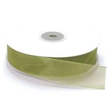 NASTRO ORGANZA VERDE CHIARO PZ.1