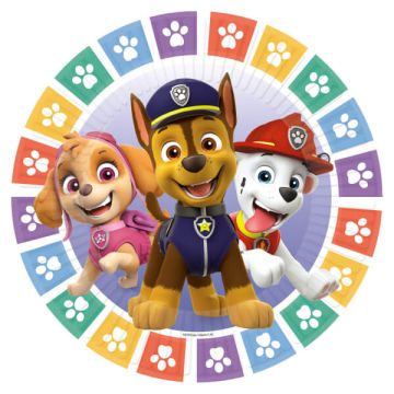 Piattini Paw Patrol Pz.8