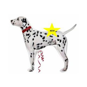 PALLONCINO CANE DALMATA PZ.10