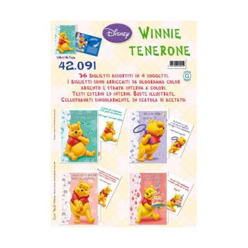 Biglietto Winnie Tenerone R65