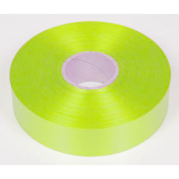 NASTRO FLOCK VERDE NILO PZ.1