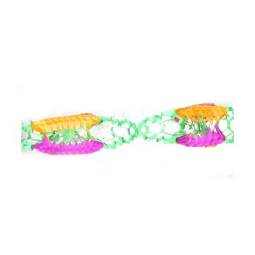 FESTONE MULTICOLOR PZ.1