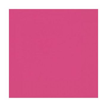 TOVAGLIOLI FUCSIA PZ.20