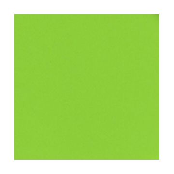 TOVAGLIOLI VERDE LIME PZ.20