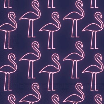 TOVAGLIOLI NEON PZ.20