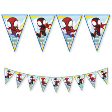 Bandierina Spidey And His Amazing Pz.1