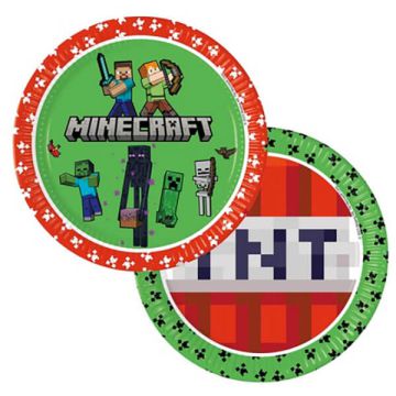 Piatti Minecraft Pz.8
