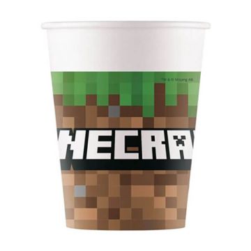 Bicchieri Minecraft Pz.8