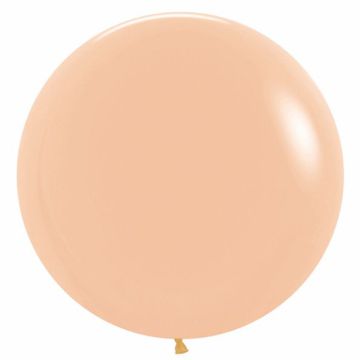 Palloncino Pesca (160) 36" Pz.5 Colore Pastello Cm.90