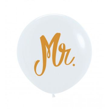 Palloncino Mr Bianco (005) 24" Pz.3