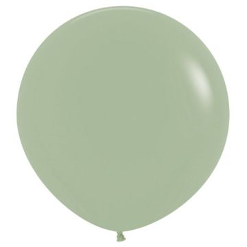 Palloncino Eucalipto (027) 24"" Pz.3
