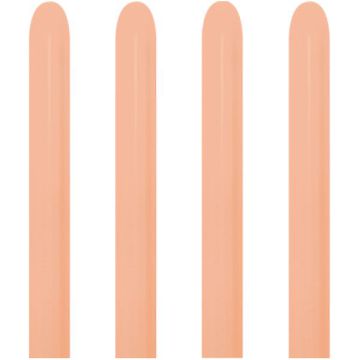 MODELLABILE PESCA (060) 260 PZ.100